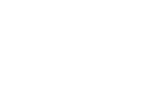 Insaccati